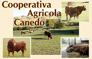 Cooperativa Agricola Canedo